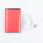 Skylax Powerbank 10000 mAH 2 Girişli 3 Çıkışlı Taşınabilir Hızlı Şarj Cihazı - Görsel 4