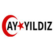 ayyildizteknoloji.com.tr logo